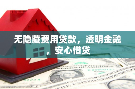 特克斯无隐藏费用贷款，透明金融，安心借贷