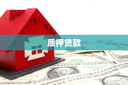 特克斯质押贷款