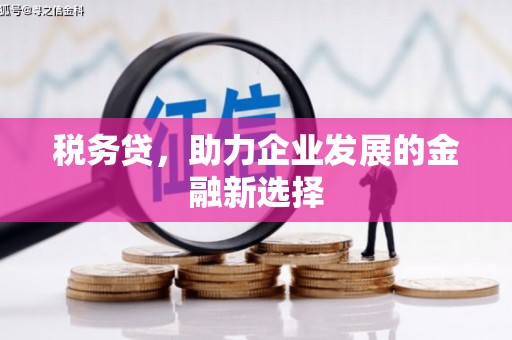 特克斯税务贷，助力企业发展的金融新选择