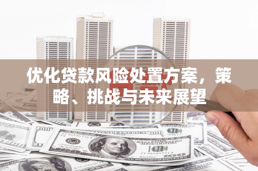 特克斯优化贷款风险处置方案，策略、挑战与未来展望