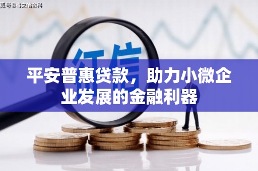 特克斯平安普惠贷款，助力小微企业发展的金融利器