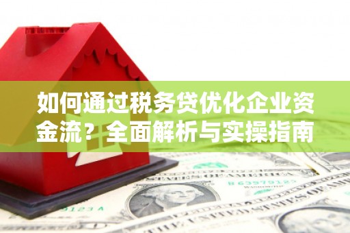 特克斯如何通过税务贷优化企业资金流？全面解析与实操指南