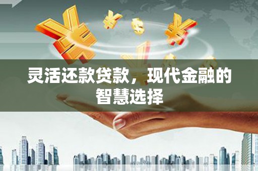 特克斯灵活还款贷款，现代金融的智慧选择