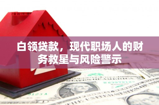 特克斯白领贷款，现代职场人的财务救星与风险警示