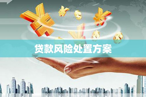 特克斯贷款风险处置方案