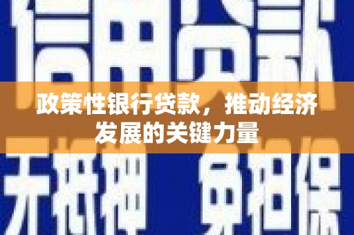 特克斯政策性银行贷款，推动经济发展的关键力量
