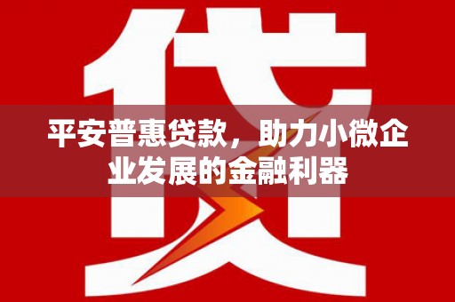 特克斯平安普惠贷款，助力小微企业发展的金融利器