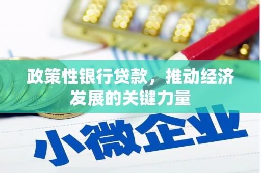 特克斯政策性银行贷款，推动经济发展的关键力量