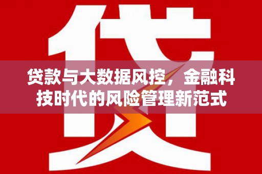 特克斯贷款与大数据风控，金融科技时代的风险管理新范式