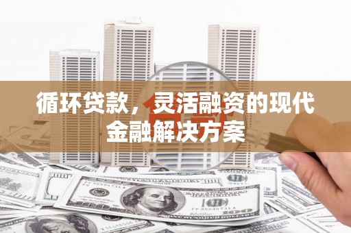 特克斯循环贷款，灵活融资的现代金融解决方案