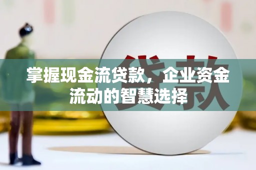 特克斯掌握现金流贷款，企业资金流动的智慧选择