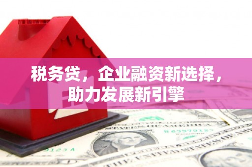 特克斯税务贷，企业融资新选择，助力发展新引擎