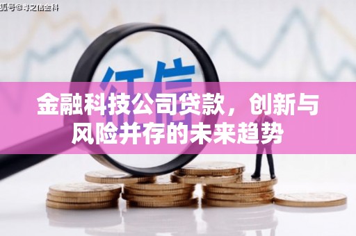 特克斯金融科技公司贷款，创新与风险并存的未来趋势