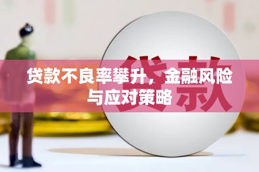 特克斯贷款不良率攀升，金融风险与应对策略
