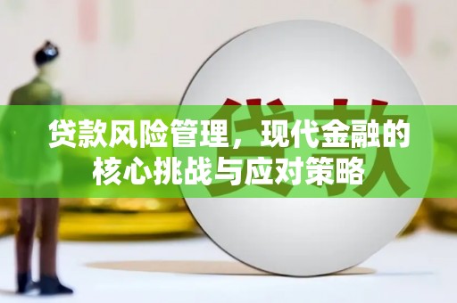 特克斯贷款风险管理，现代金融的核心挑战与应对策略