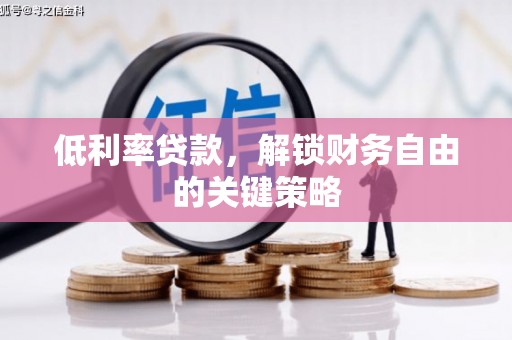 特克斯低利率贷款，解锁财务自由的关键策略