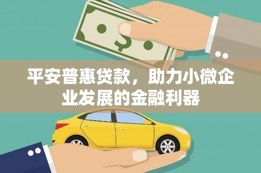 特克斯平安普惠贷款，助力小微企业发展的金融利器
