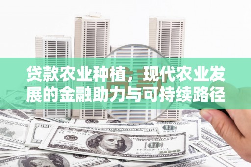 特克斯贷款农业种植，现代农业发展的金融助力与可持续路径