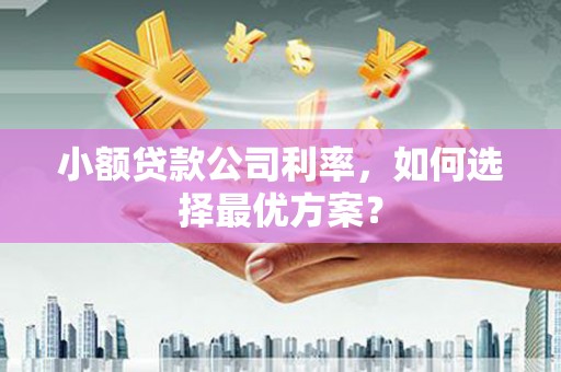 特克斯小额贷款公司利率，如何选择最优方案？