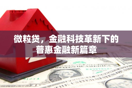 特克斯微粒贷，金融科技革新下的普惠金融新篇章