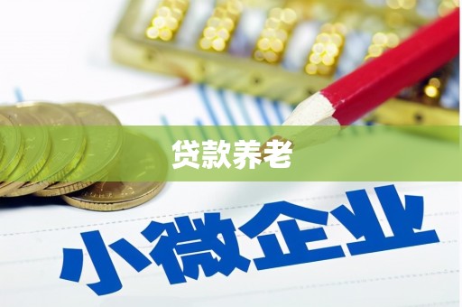 特克斯贷款养老