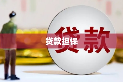 特克斯贷款担保