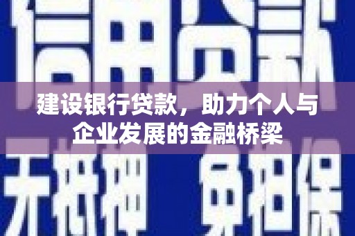 特克斯建设银行贷款，助力个人与企业发展的金融桥梁
