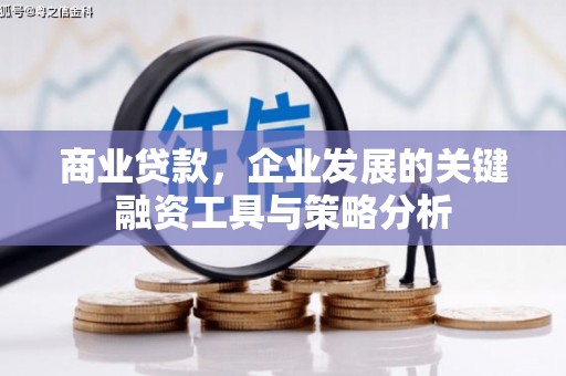 特克斯商业贷款，企业发展的关键融资工具与策略分析