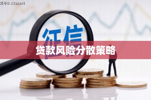 特克斯贷款风险分散策略