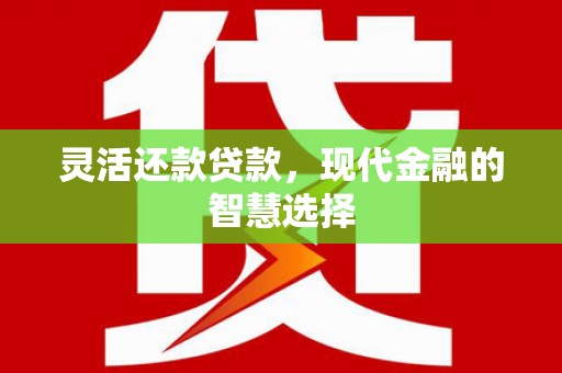 特克斯灵活还款贷款，现代金融的智慧选择