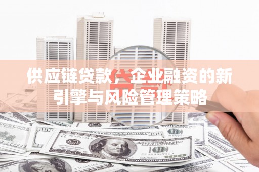 特克斯供应链贷款，企业融资的新引擎与风险管理策略