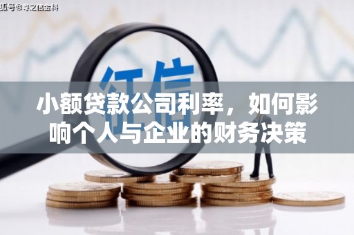 特克斯小额贷款公司利率，如何影响个人与企业的财务决策