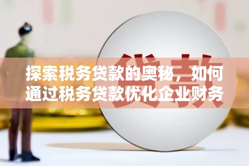特克斯探索税务贷款的奥秘，如何通过税务贷款优化企业财务