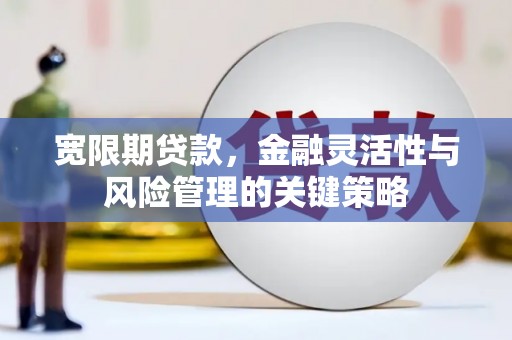 特克斯宽限期贷款，金融灵活性与风险管理的关键策略