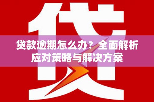 特克斯贷款逾期怎么办？全面解析应对策略与解决方案