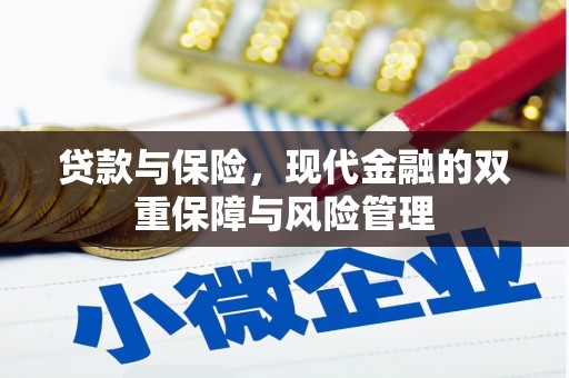 特克斯贷款与保险，现代金融的双重保障与风险管理