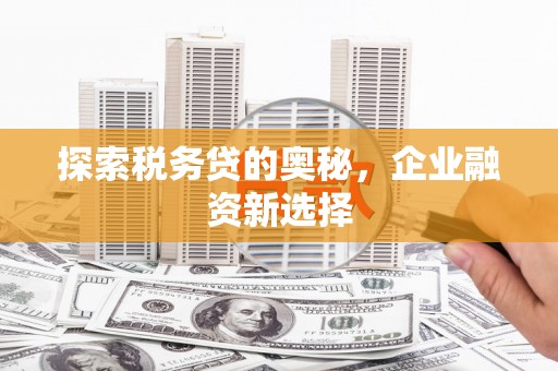特克斯探索税务贷的奥秘，企业融资新选择