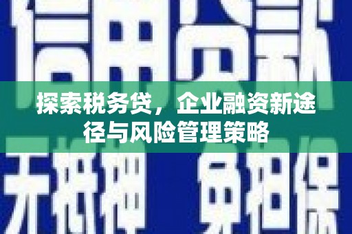 特克斯探索税务贷，企业融资新途径与风险管理策略