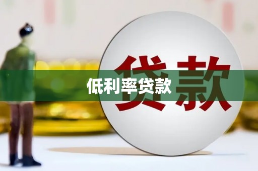 特克斯低利率贷款