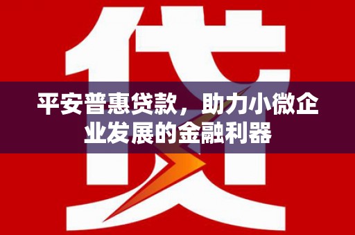 特克斯平安普惠贷款，助力小微企业发展的金融利器