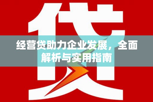 特克斯经营贷助力企业发展，全面解析与实用指南