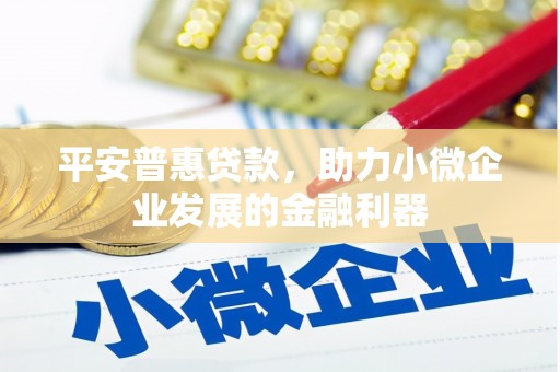 特克斯平安普惠贷款，助力小微企业发展的金融利器