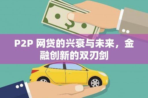 特克斯P2P 网贷的兴衰与未来，金融创新的双刃剑