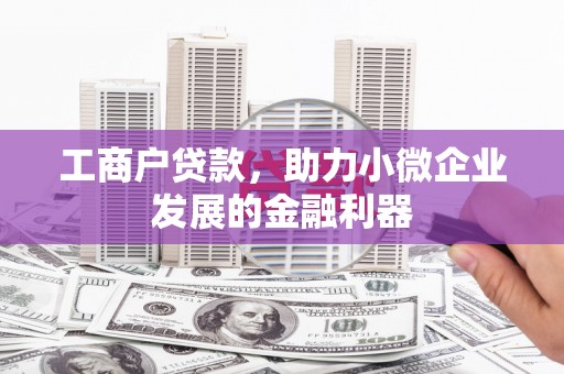 特克斯工商户贷款，助力小微企业发展的金融利器