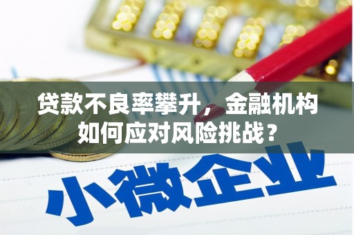 特克斯贷款不良率攀升，金融机构如何应对风险挑战？