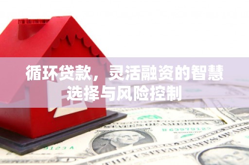 特克斯循环贷款，灵活融资的智慧选择与风险控制