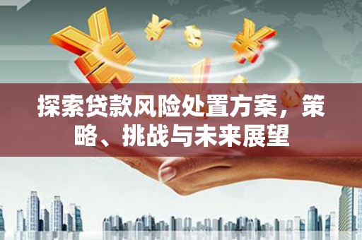 特克斯探索贷款风险处置方案，策略、挑战与未来展望