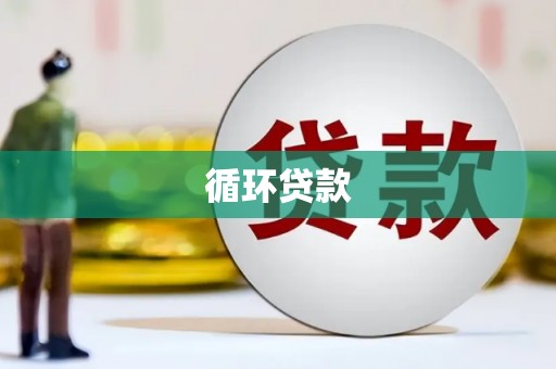 特克斯循环贷款