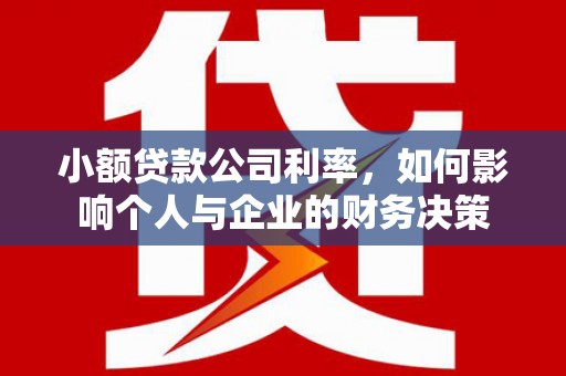 特克斯小额贷款公司利率，如何影响个人与企业的财务决策