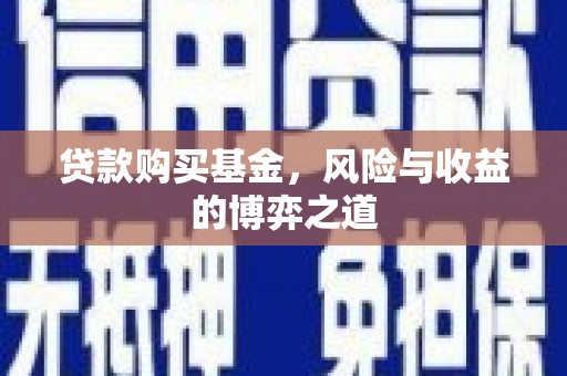 特克斯贷款购买基金，风险与收益的博弈之道